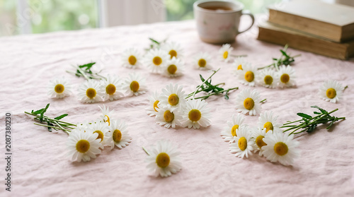 Scattered daisies on pink table cloth with cup of coffee and books