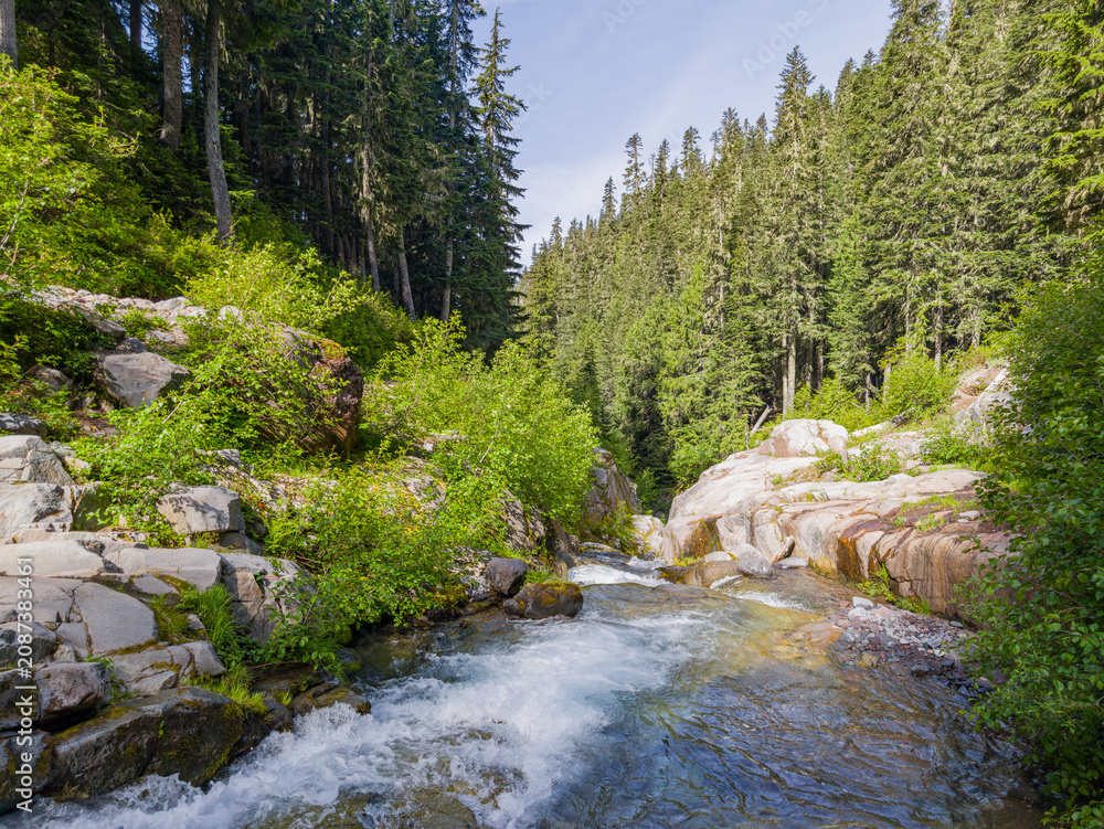 Fototapeta premium Mountain stream flowing through rocky forest in Washington