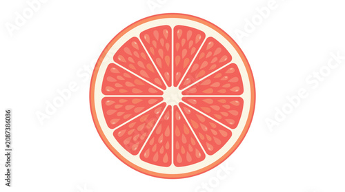 Fresh Pink Grapefruit Slice Cross Section Top View Illustration for Healthy Food and Juice Design Projects