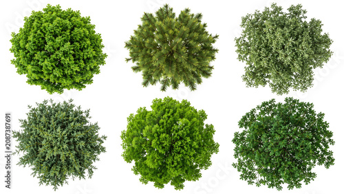 Overhead view of six different green tree and shrub canopies on a transparent background, showing varied shapes, textures and foliage densities