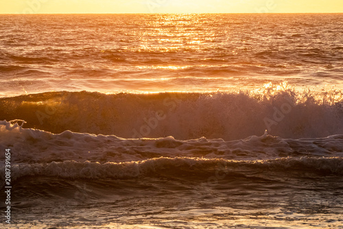 Breaking ocean wave with white foam crest at golden hour on Santa Monica Beach, Pacific Ocean, California, USA.