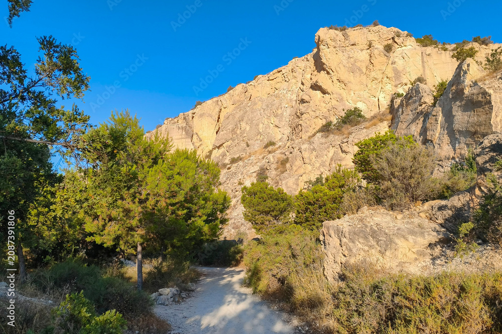Naklejka premium Mediterranean Trail with Pine Trees in Sierra Grossa, Alicante, Costa Blanca, Spain