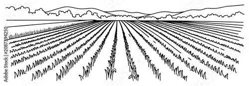 Cultivated agricultural field with rows of growing crops stretching to the horizon in line art style