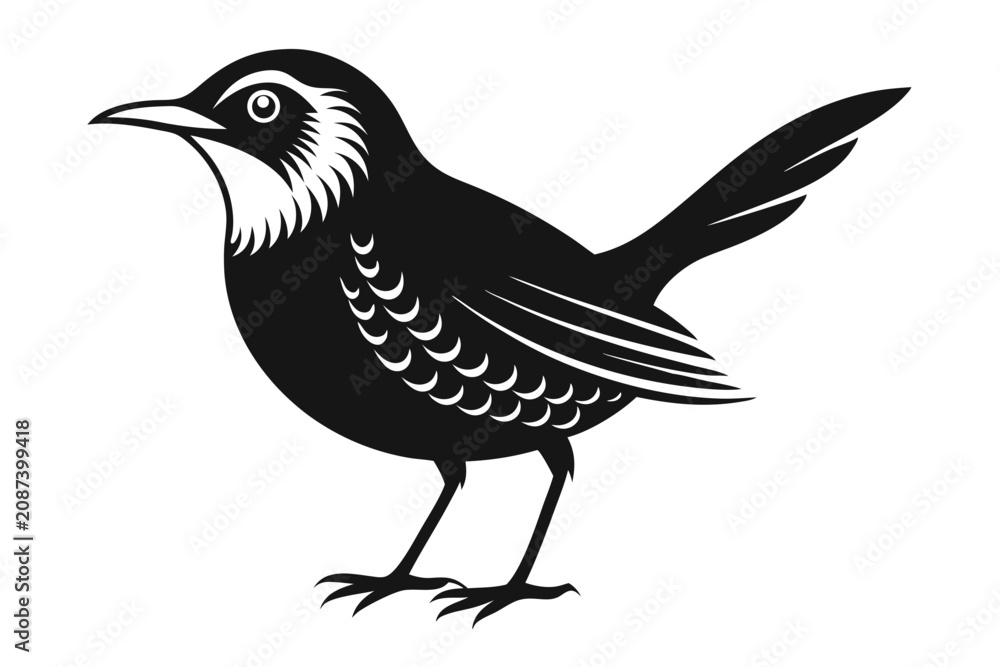 Fototapeta premium babbler bird silhouette line art vector illustration