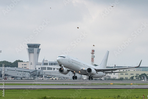 阿蘇を望む六月の熊本空港