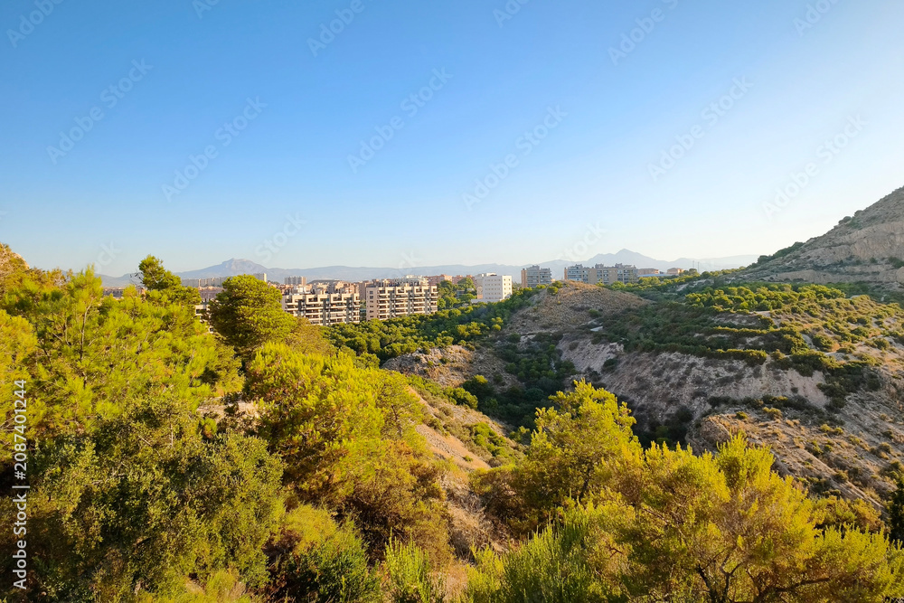 Naklejka premium View over Modern Alicante from the Sierra Grossa Nature Trail, Alicante, Spain
