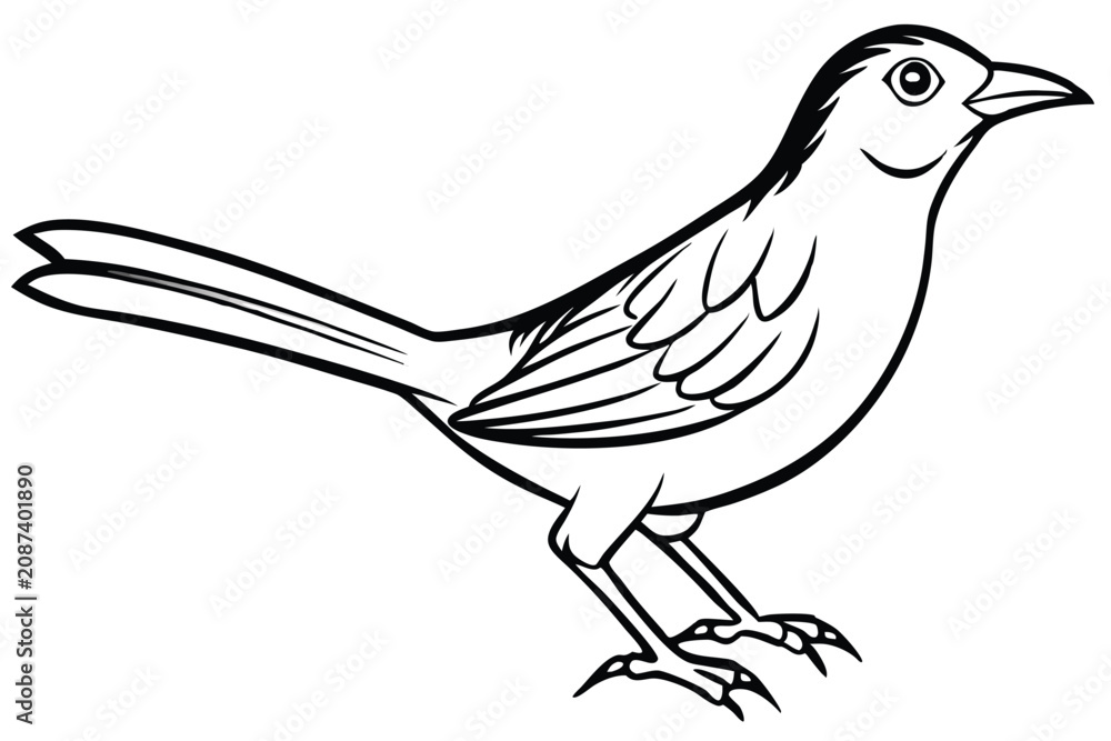 Fototapeta premium babbler bird silhouette line art vector illustration