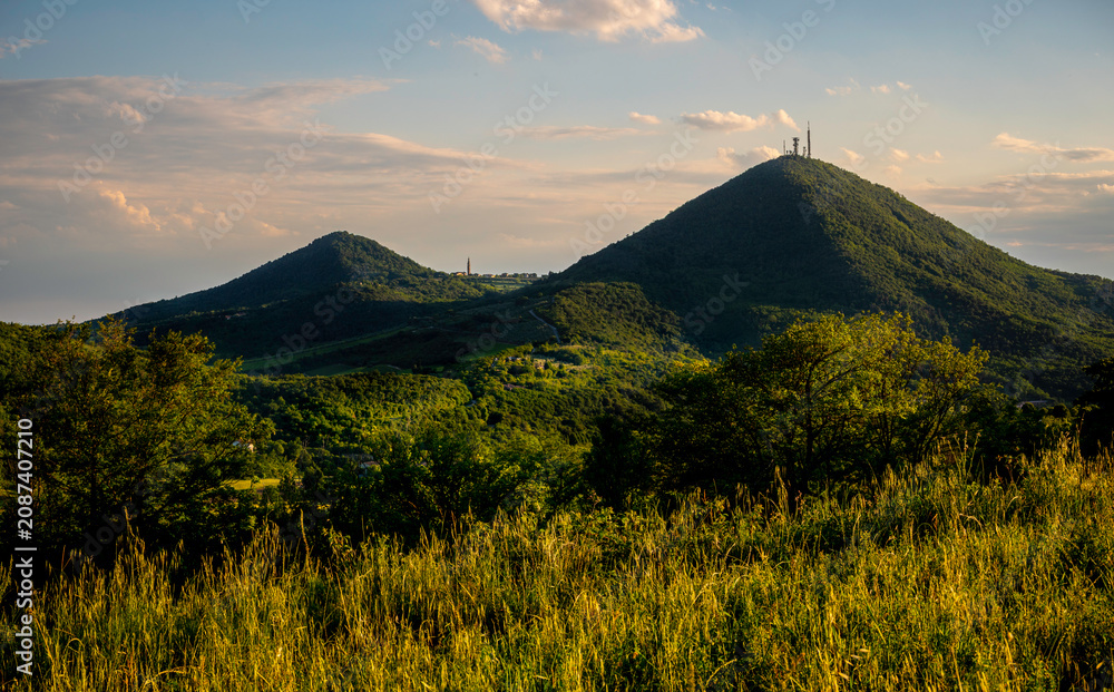 Fototapeta premium Colli Euganei - Paesaggi naturali e rurali - Arquà Petrarca - Padova - Veneto - Italia