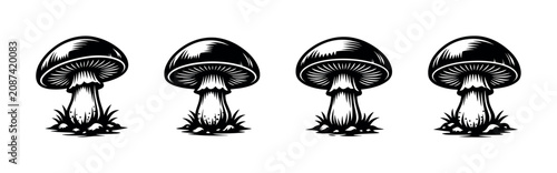 Foto Row of stylized black and white mushrooms growing in grass