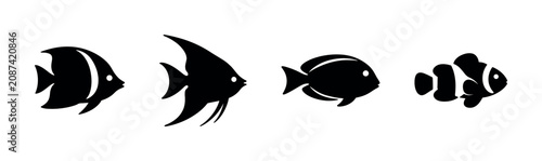 Valokuva Collection of four distinct black fish silhouettes on a white background