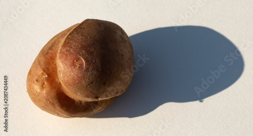 Foto A strangely shaped potato on a white background.