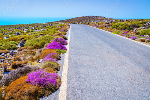 Road on Crete