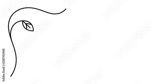 Photos Simple line drawing of a delicate vine with a single leaf in the upper corner