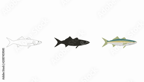 Foto Three stylized fish illustrations in varying designs