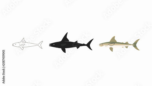 Obraz na plátně Three distinct shark silhouettes in profile view