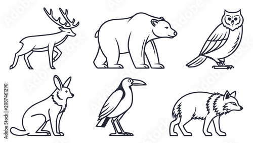 Photography Set of wild animals including bear deer owl wolf and hare illustration