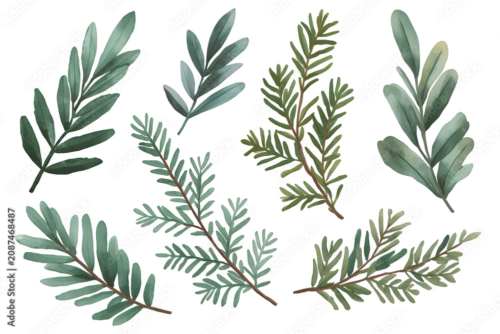 Fototapeta premium Watercolor botanical collection with various green branches and leaves, hand drawing nature elements for design on transparent background