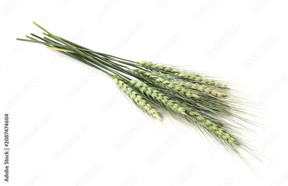 Fototapeta premium Bunch of green wheat spikes isolated on white