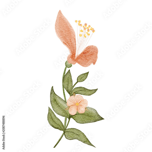 Flower, green stem and leaf watercolor isolated on white. Delicate botanical clip art for wedding stationery, invitations, branding, packaging, prints, floral designs, feminine projects. Peach color