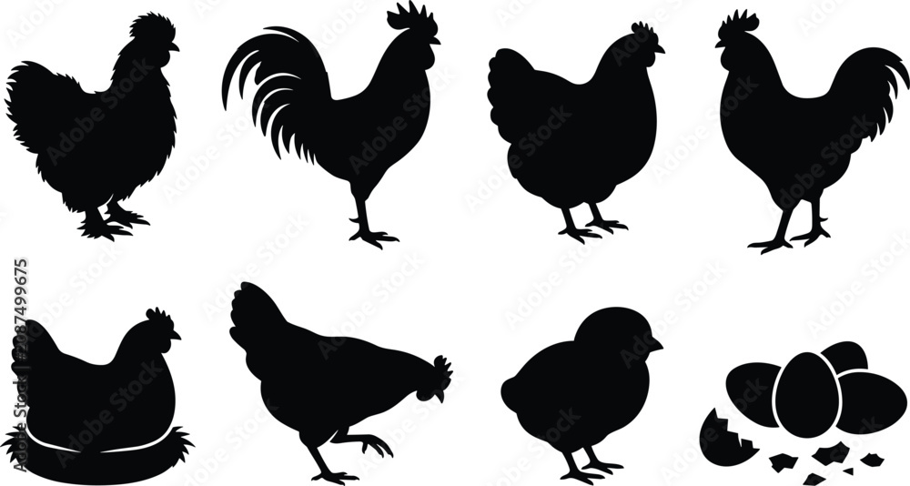 Obraz premium Chicken and Rooster Silhouette Collection with Hen Chick Nest and Eggs Black Poultry Vector Set