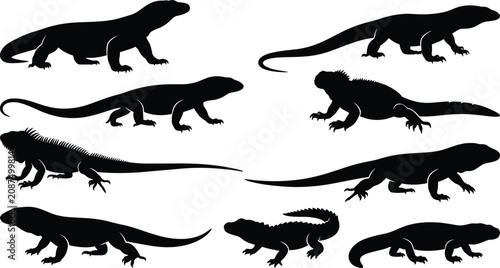 Foto Lizard and Reptile Silhouette Collection Featuring Monitor Lizards Iguanas and C
