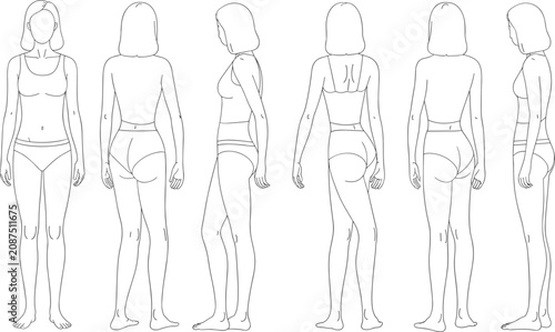 Bilde på lerret Human anatomy figure illustration, male and female body proportions study, flat