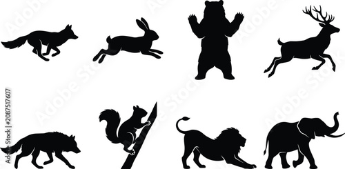 Photography Silhouettes of Wild Animals in Various Poses for Nature and Wildlife Design