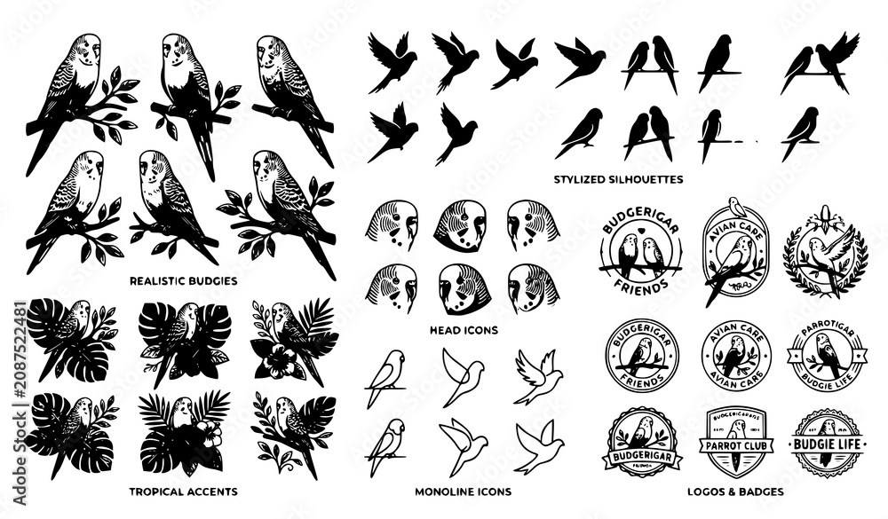 Fototapeta premium Budgerigar icon collection vector parakeet bird design