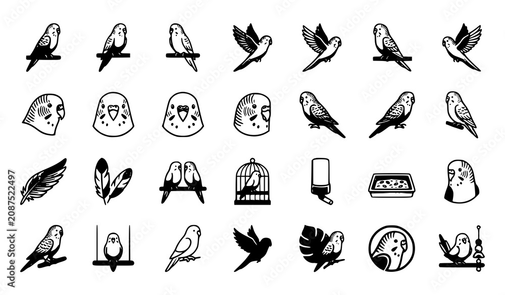 Fototapeta premium Budgerigar outline icons vector minimalist parakeet pack
