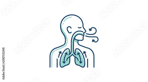 Obraz na płótnie Human Respiratory System Anatomy Illustration.