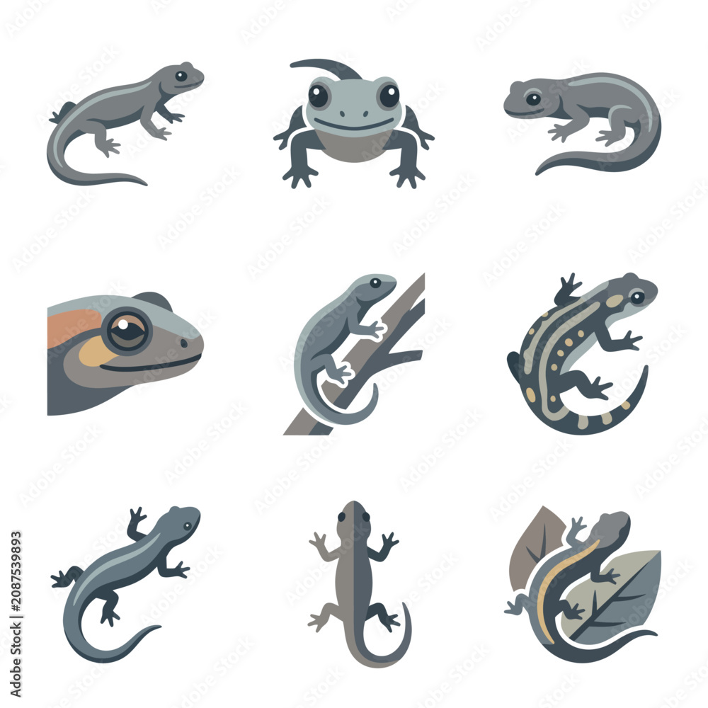 Obraz premium Collection of various lizard species profiles.
