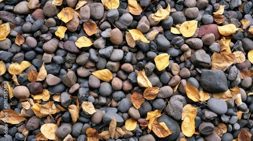 A close-up of smooth, varied stones interspersed with fallen autumn leaves