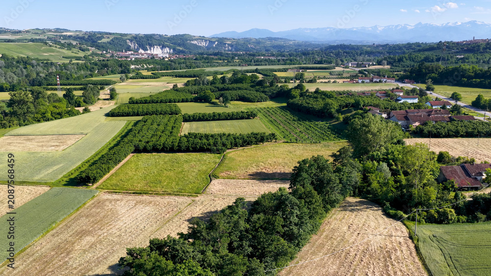 Obraz premium Aerial View of Piedmont Italian Countryside with Hazelnut Orchards and Alps
