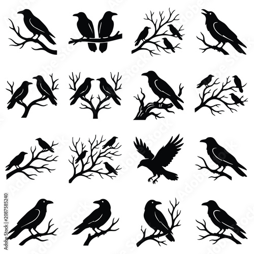 Foto Crow and raven bird silhouette icon set with silhouette wildlife collection feat