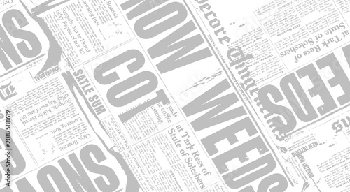 Fotografie Vintage newspaper front page vector layout with gibberish text.