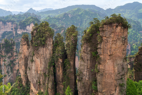 Konstfotografi Sandstone pillars at the top of Huangshizhai in Zhangjiajie National Forest Park