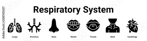 Canvastavla Respiratory System web banner icon vector illustration concept for medical with icon of Lungs, Bronchus, Nose, Mouth, Tonsils