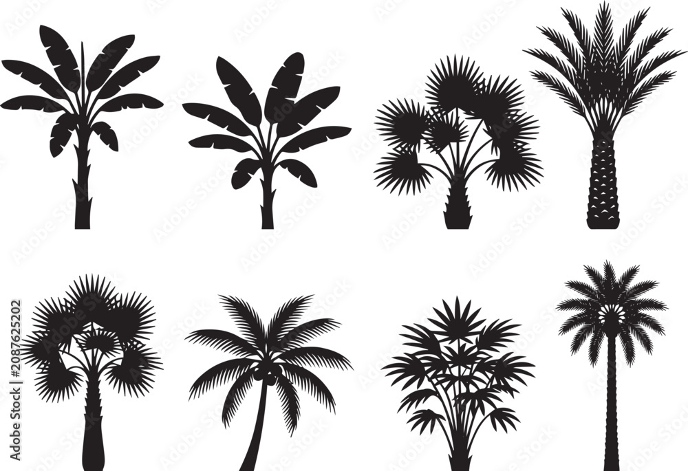 Fototapeta premium Tropical Palm Tree Silhouette Vector Set, Banana Tree and Exotic Plant Black Icons Collection