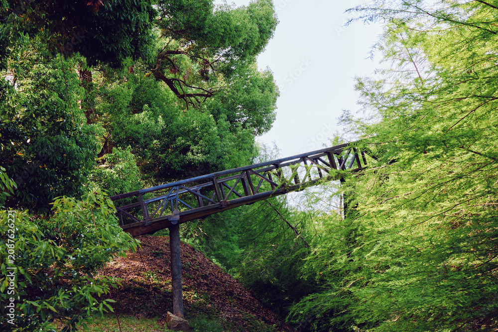 Naklejka premium Bridge walkway forest trees foliage metal path nature in a green park canopy, elevated pedestrian crossing with rusted railing and sunlight filtering over a wooded hillside scenery.