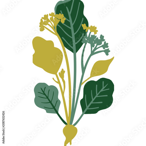 Soft But Crisp 2d Botanical Illustration