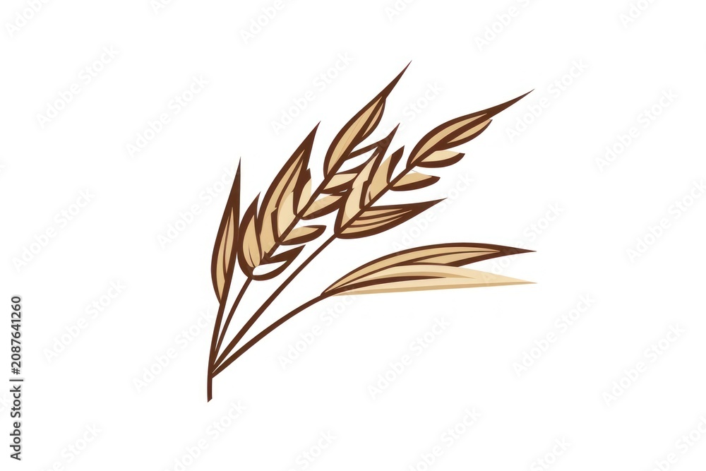Fototapeta premium Rice wheat agriculture triticale.