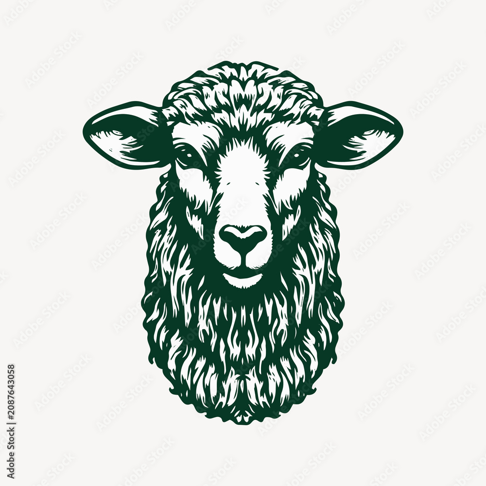 Fototapeta premium Sheep logo livestock animal.