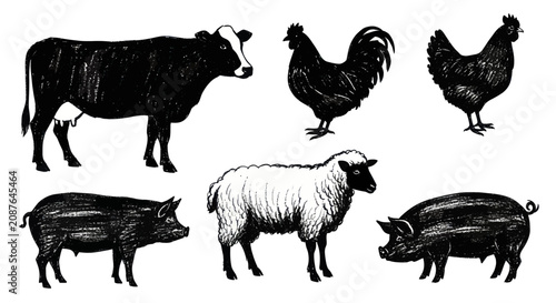 Konstfotografi Farm Animals Collection Vintage Style Illustration.