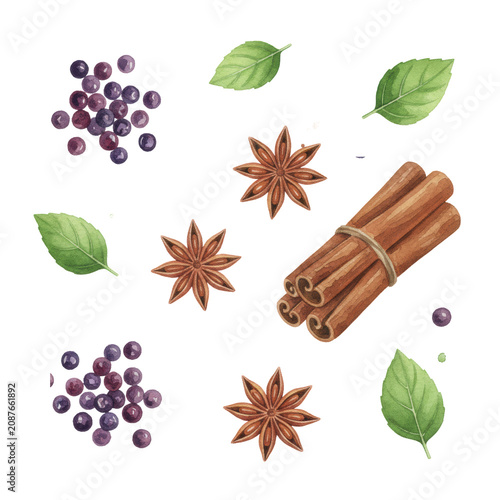 Watercolor illustration of purple peppercorns, star anise, cinnamon sticks and green herb leaves arranged on white paper in a vibrant culinary arrangement