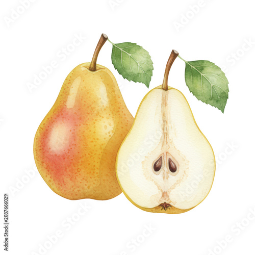 Watercolor still life: golden-yellow pear with crimson blush, a sliced pear revealing seeds, green leaves, transparent background, fresh organic culinary study