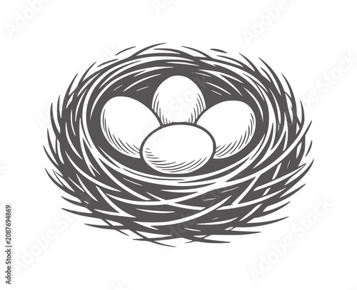 Hand drawn of a bird nest with four eggs hatch nature