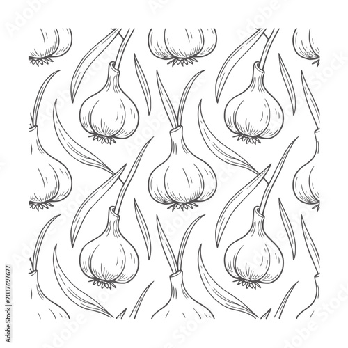 Hand drawn pattern of garlic bulbs and leaves leaf food