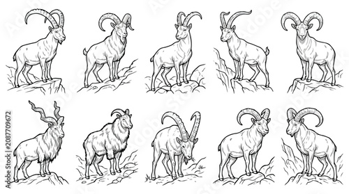 Fotografie Vintage ibex and mountain goat sketches, set of 10 hand-drawn wild animal vector