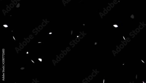 White Petals Falling on Black Background 4K 60fps video overlay