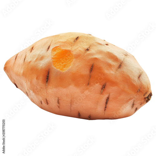 Single sweet potato with a peeled spot revealing its orange flesh isolated on white background
